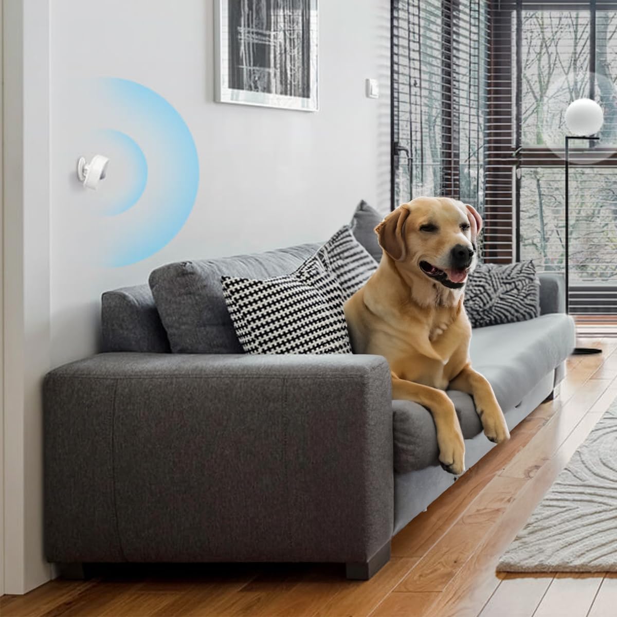 Sensor de movimiento TP-Link Tapo